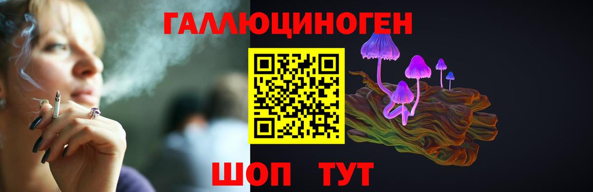 Галлюциногенные грибы Psilocybine cubensis  Вход с VPN  Псилоцибиновые грибы GOLDEN TEACHER  Нурлат 
