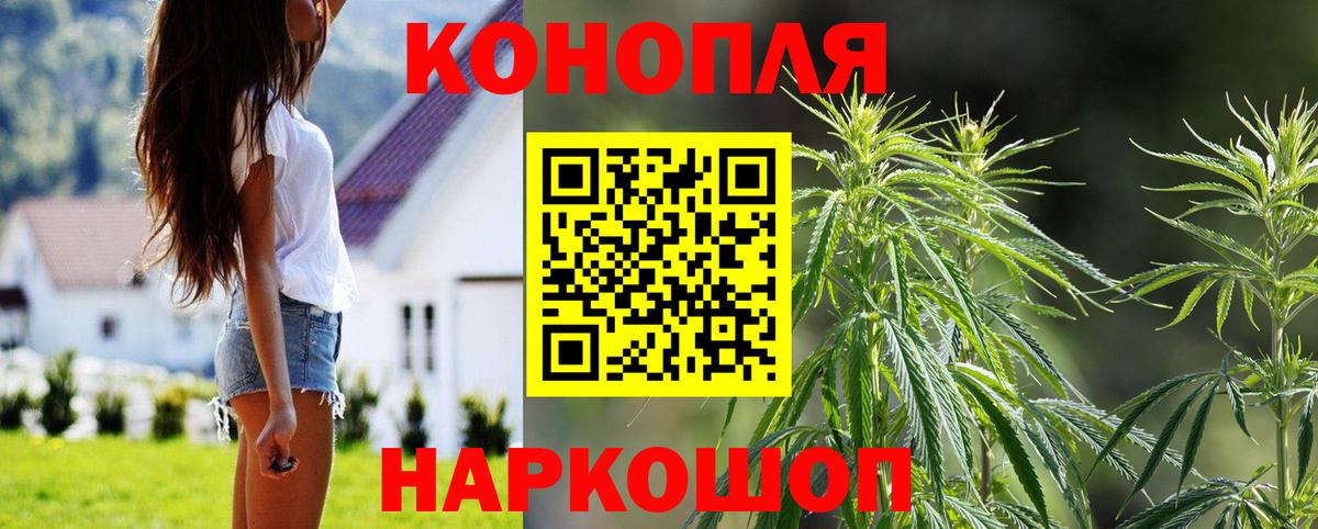 Канабис гибрид  Вход с VPN  Шишки марихуана AK-47  Нурлат 